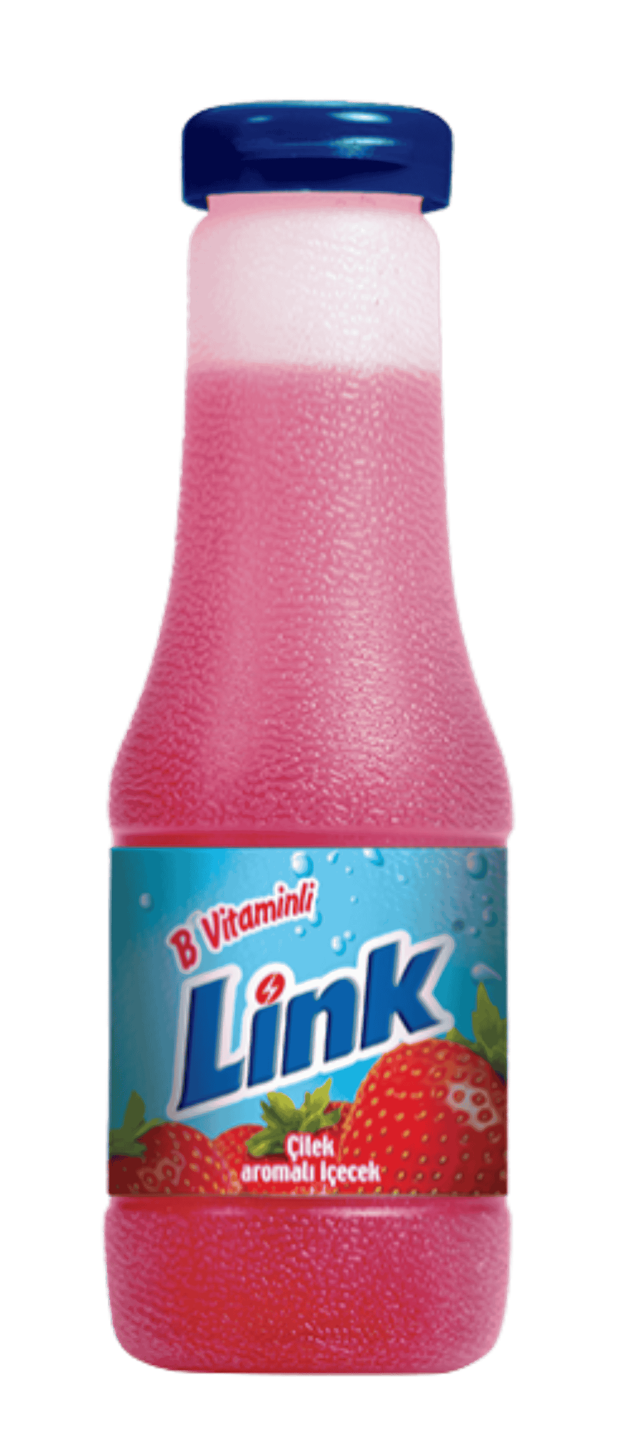 Eskişehir Link Bayiliği